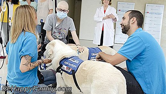 Terapia de mascotas para ayudar a los niños hospitalizados en cuidados intensivos