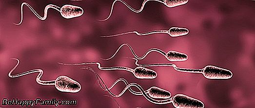 La infertilidad masculina, la proteína que activa el esperma, está en camino