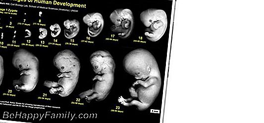 Travaglio: todas las fases desde los primeros síntomas del parto en el nacimiento del niño