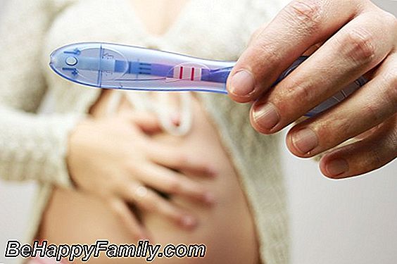 Segundo mes de embarazo, lo que le pasa al niño