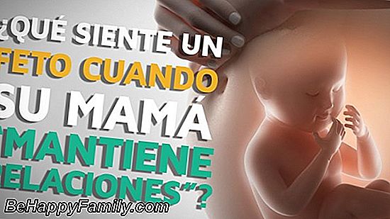 ¿Qué siente el feto dentro del vientre?