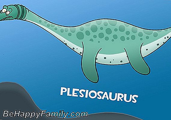 Éles fogak és hosszú farok: a dinoszauruszok szenvedélye visszatér a Sea Rexhez!